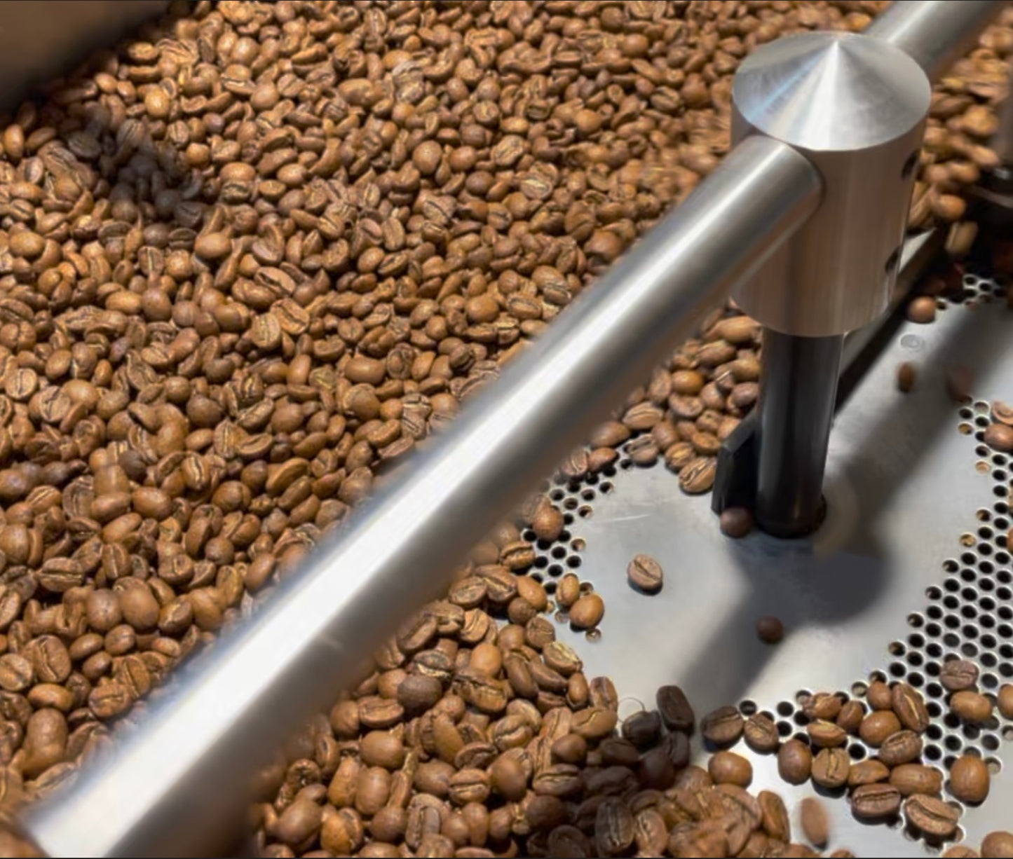 Roasting Workshop