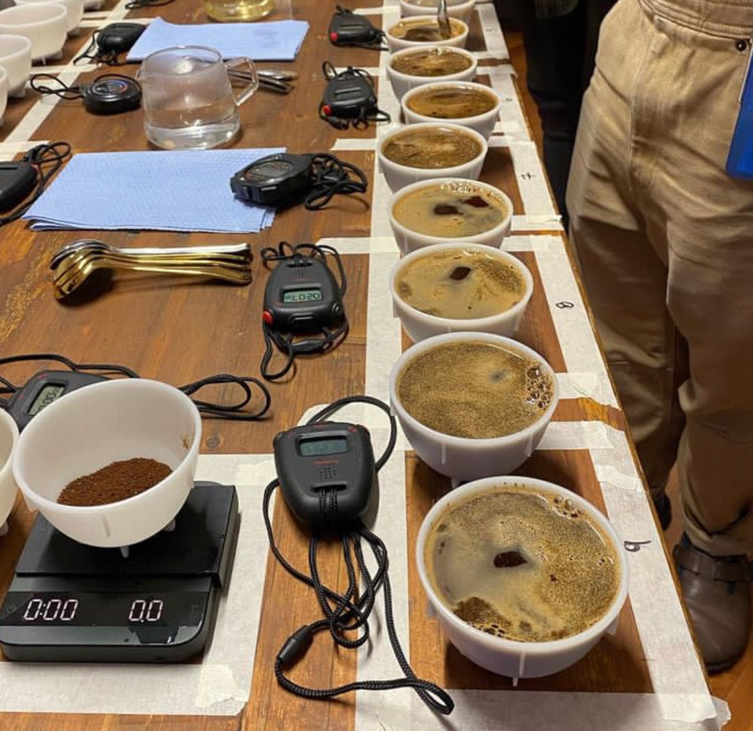 Sensory Analysis Workshop