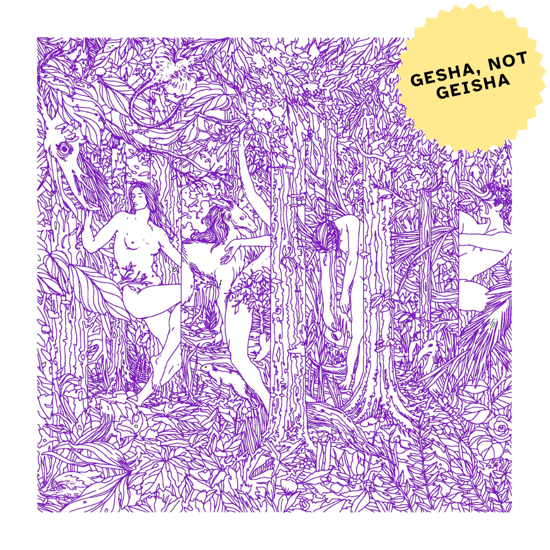 Gesha, Not Geisha
