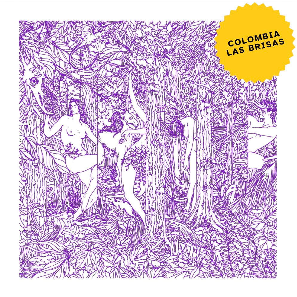 Colombia Las Brisas Sidra Bourbon Lavado