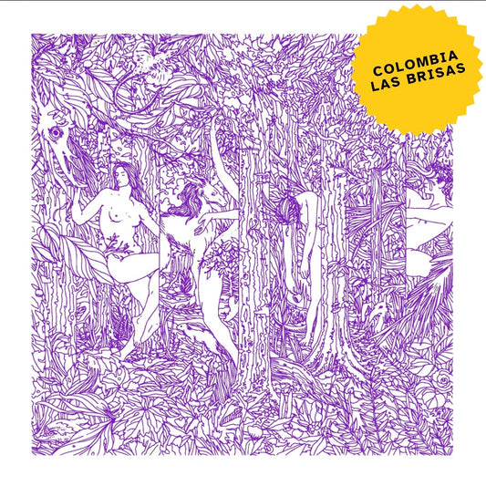 Colombia Las Brisas Sidra Bourbon Lavado