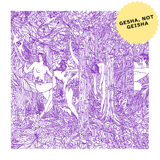 Gesha, Not Geisha