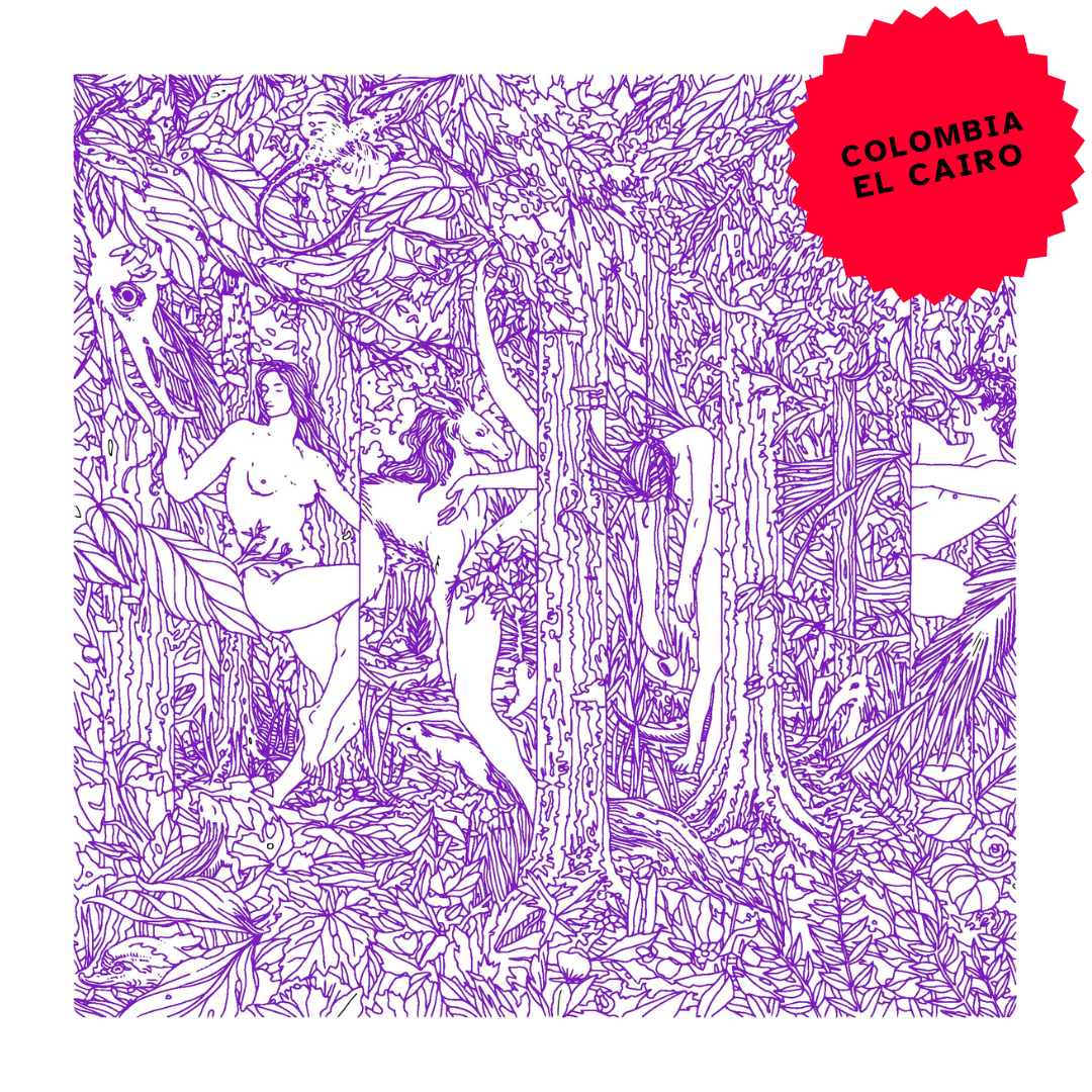 Colombia El Cairo Sidra Bourbon Natural