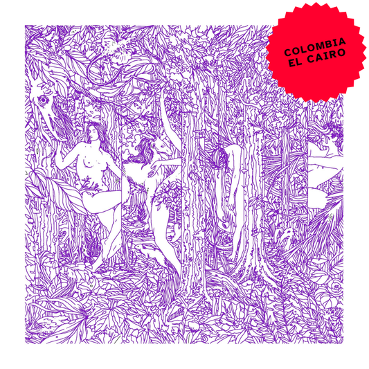 Colombia El Cairo Sidra Bourbon Natural