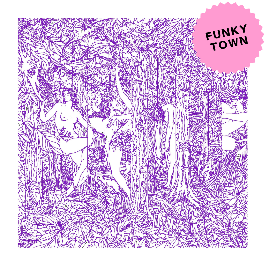 Funky Town