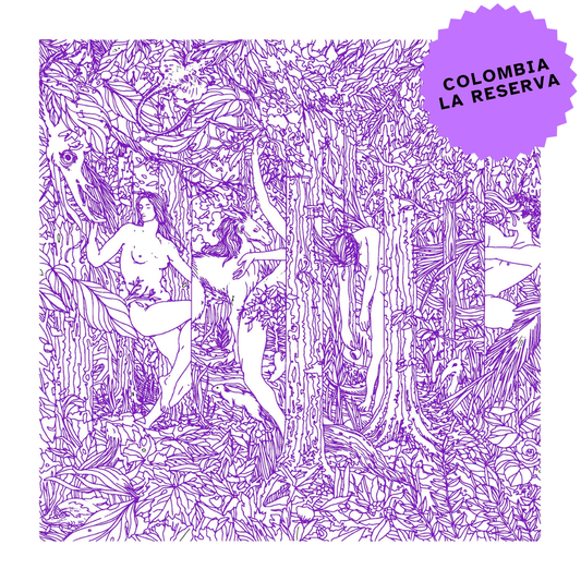 Colombia La Reserva Sidra Bourbon Lavado